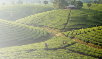 সবথেকে ভালো মানের <br> নিশ্চয়তা আমরাই দিচ্ছি।